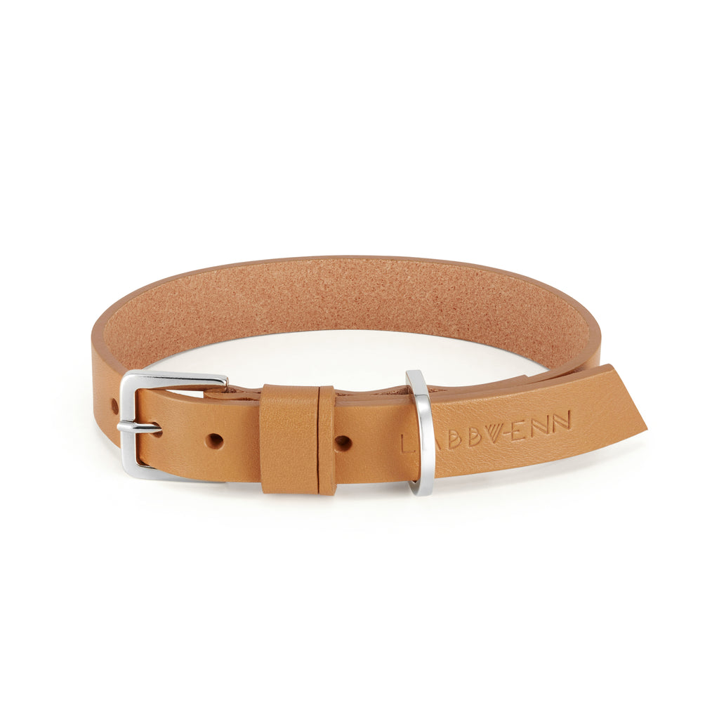 KOLLU dog collar