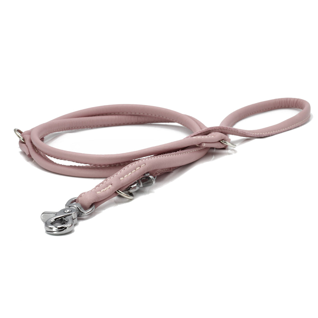 AMICI dog leash